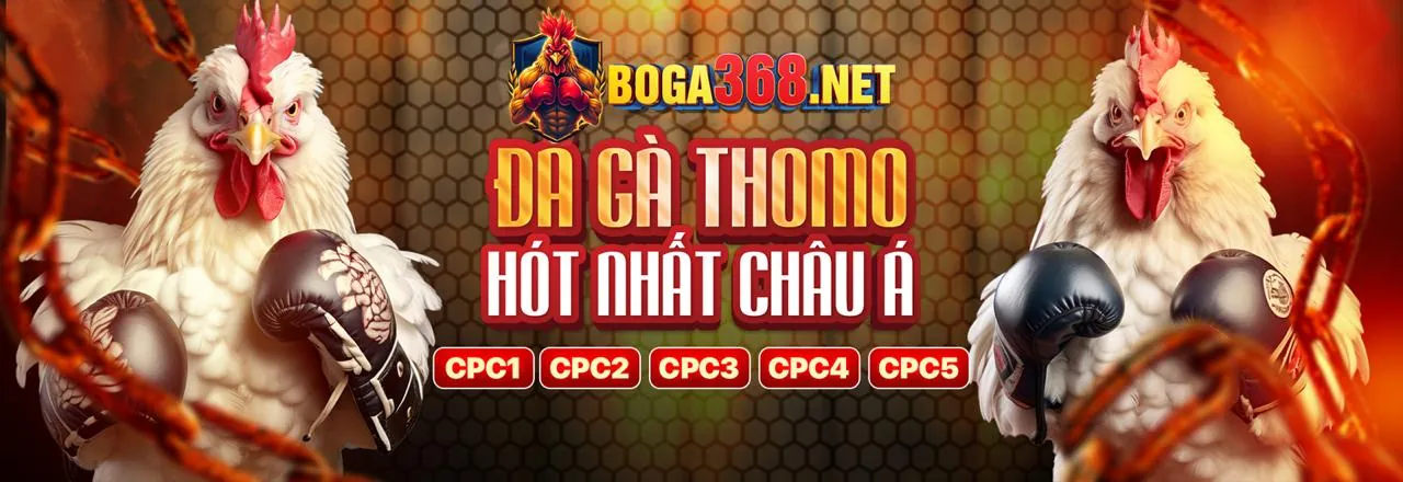Hình ảnh giới thiệu về BMWbet, một nền tảng cá cược trực tuyến hiện đại